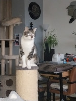 /album/09-11-20251/afbeelding-van-whatsapp-op-2025-11-08-om-08-04-29-2010fad9-jpg/